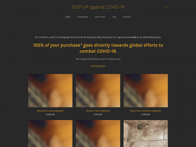 stepupagainstcovid19.weebly.com snapshot