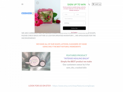www.naturelovingsoaps.com snapshot