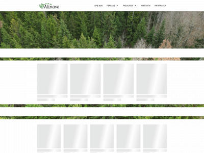 alinava.lt snapshot