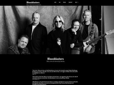 bloosblasters.com snapshot