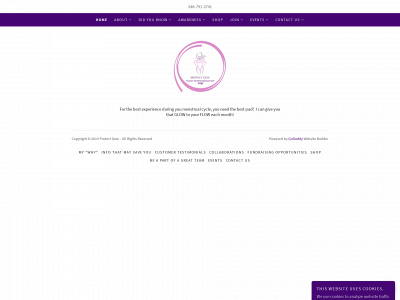 protectgem.com snapshot