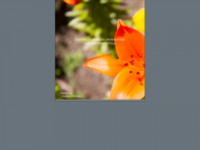 nettero.fi snapshot