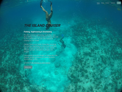 theislandcruiser.com snapshot