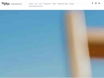 dogcarebonaire.com snapshot
