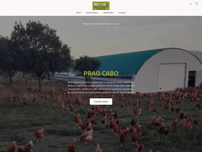 praocabo.com snapshot