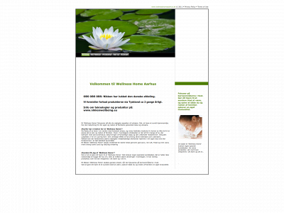 wellnesshomeaarhus.dk snapshot