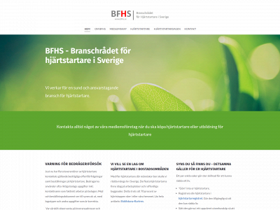 bfhs.se snapshot