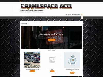crawlspacecreeper.com snapshot