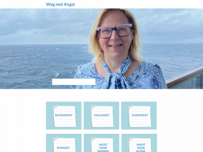 wegmetangst.com snapshot