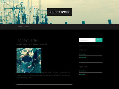 spiffyswig.com snapshot