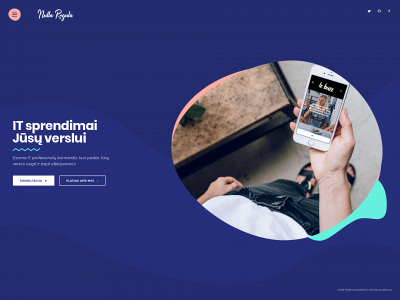 nullaregula.lt snapshot