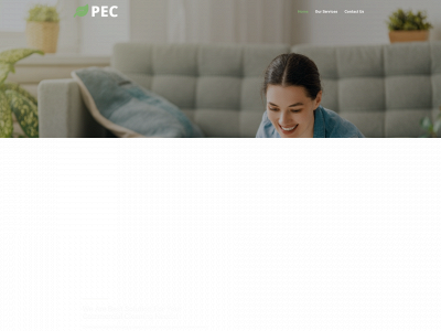pristineecoclean.co snapshot
