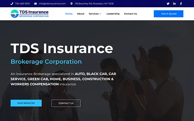 tdsinsurance.com snapshot