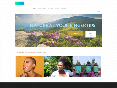zcbvsmb.sites.looka.com snapshot
