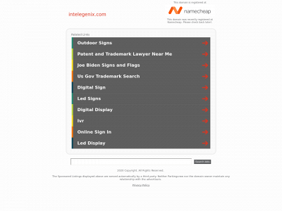 intelegenix.com snapshot