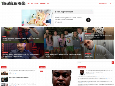 theafricanmedia.com snapshot
