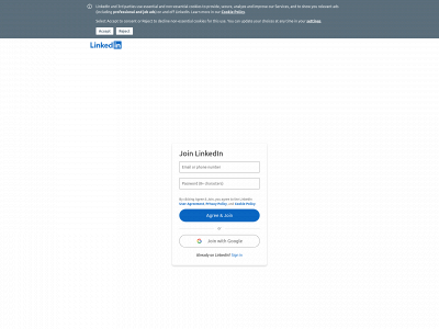 netparty.lt snapshot