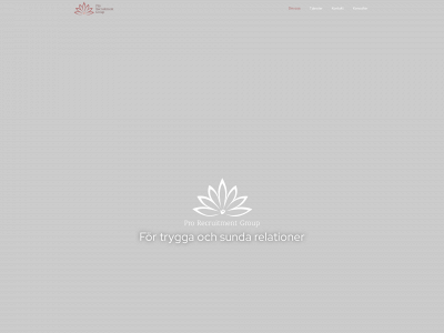 prorecgroup.com snapshot