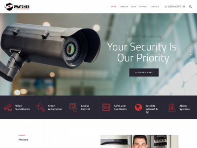 iwpsecuritysolutions.com snapshot