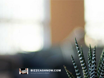 bizzcashnow.com snapshot