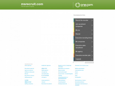 msrecruit.com snapshot