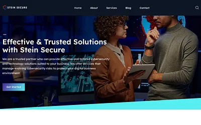 steinsecure.com snapshot