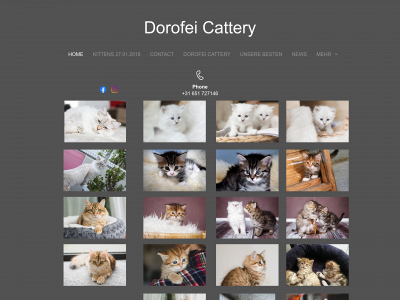 dorofei.de snapshot