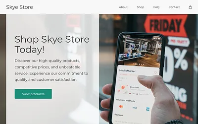 skyetex-llc.com snapshot