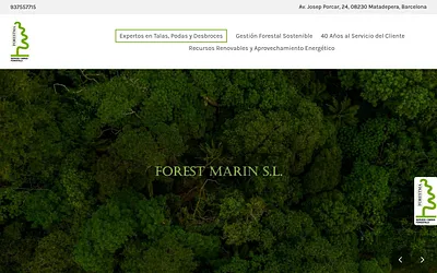 forestma.es snapshot