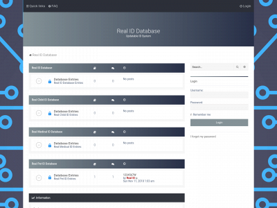 realidsystem.com snapshot