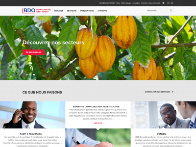 bdo-fwa.com snapshot