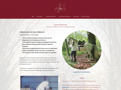 annsridkonst.se snapshot
