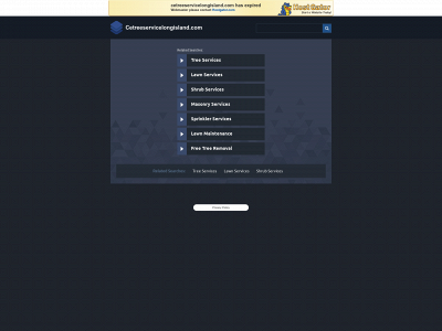 cetreeservicelongisland.com snapshot