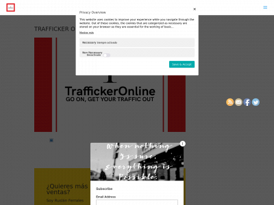 traffickeronline.net snapshot