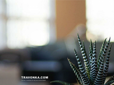 travonka.com snapshot