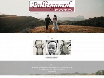 pallisgaardfoto.dk snapshot