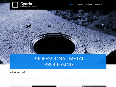 thecynricgroup.com snapshot