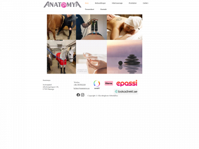 anatomya.se snapshot