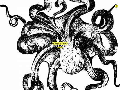 octopus-grips.com snapshot