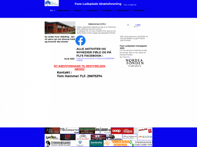fli.dk snapshot