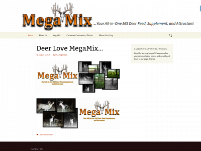 megamixfeed.com snapshot