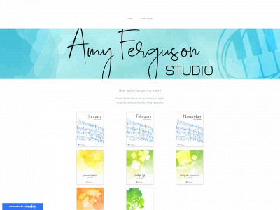 www.amyfergusonstudio.com snapshot