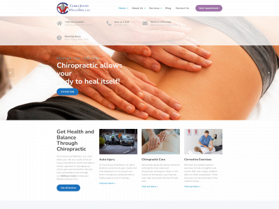 tampachiroinjury.com snapshot
