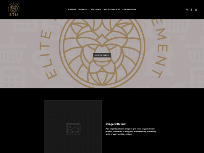 etmnetwork.com snapshot