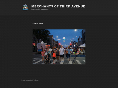 merchantsofthirdavenue.com snapshot