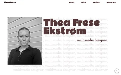 theafrese.dk snapshot