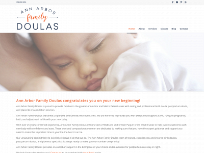annarborfamilydoulas.com snapshot