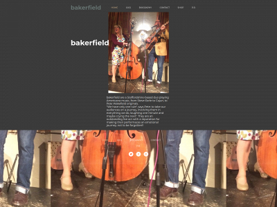 bakerfield.co.uk snapshot