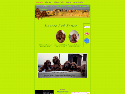 irish-setter-vomstahlsberg.de snapshot