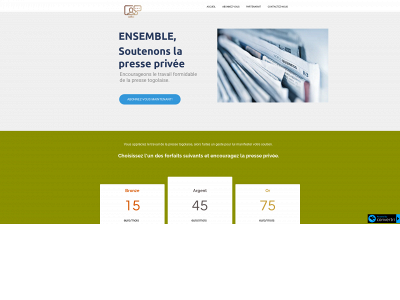 perspectiveinfo.com snapshot
